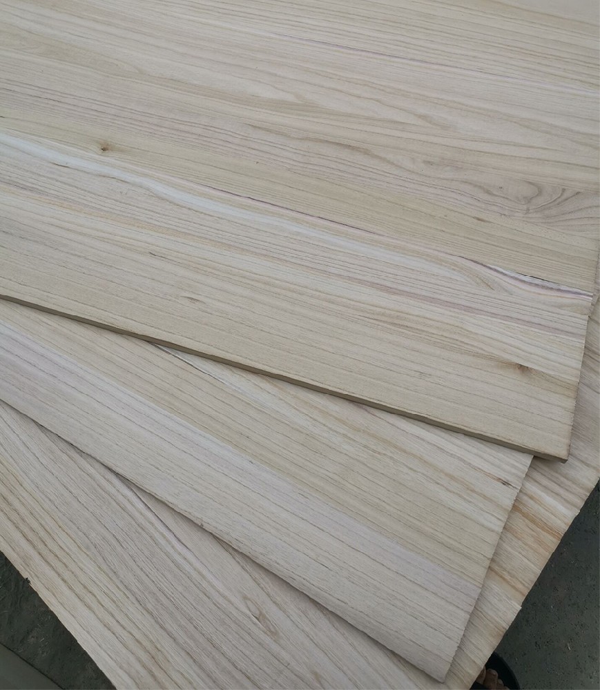 What is Paulownia Wood? Complete Guide for Furniture Makers 2026