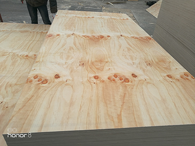 Paulownia vs Pine: Which Wood is Better for Furniture? 2026 Comparison